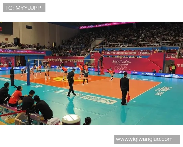 联赛特别报道：上海排球队的成长故事