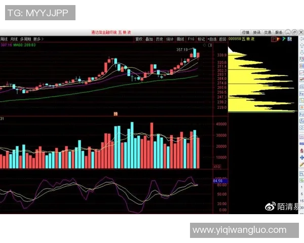 重庆篮球队与上海篮球队赛后技术分析与战术复盘