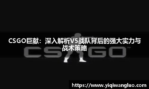 PA视讯官网