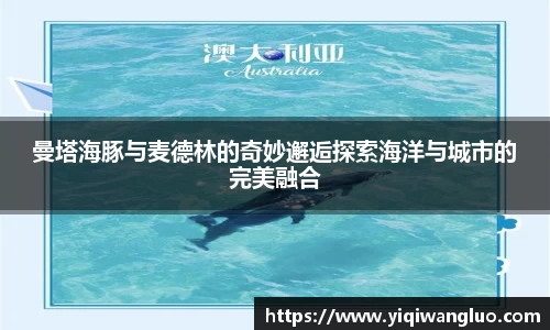 PA视讯官网