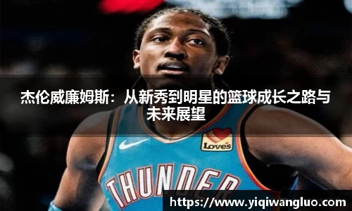 PA视讯平台